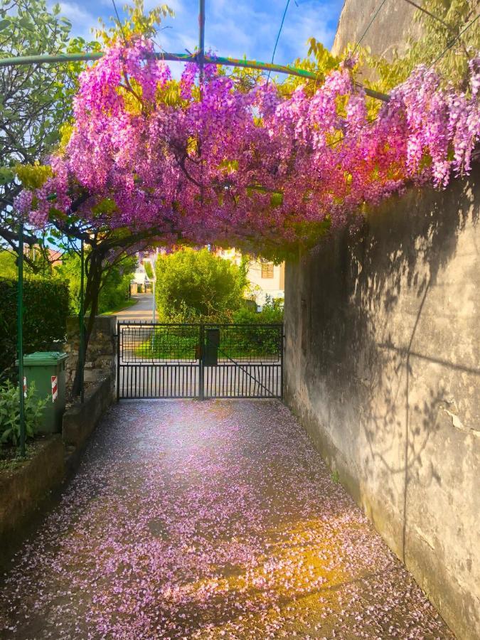 App Milija Apartment Rovinj Bagian luar foto