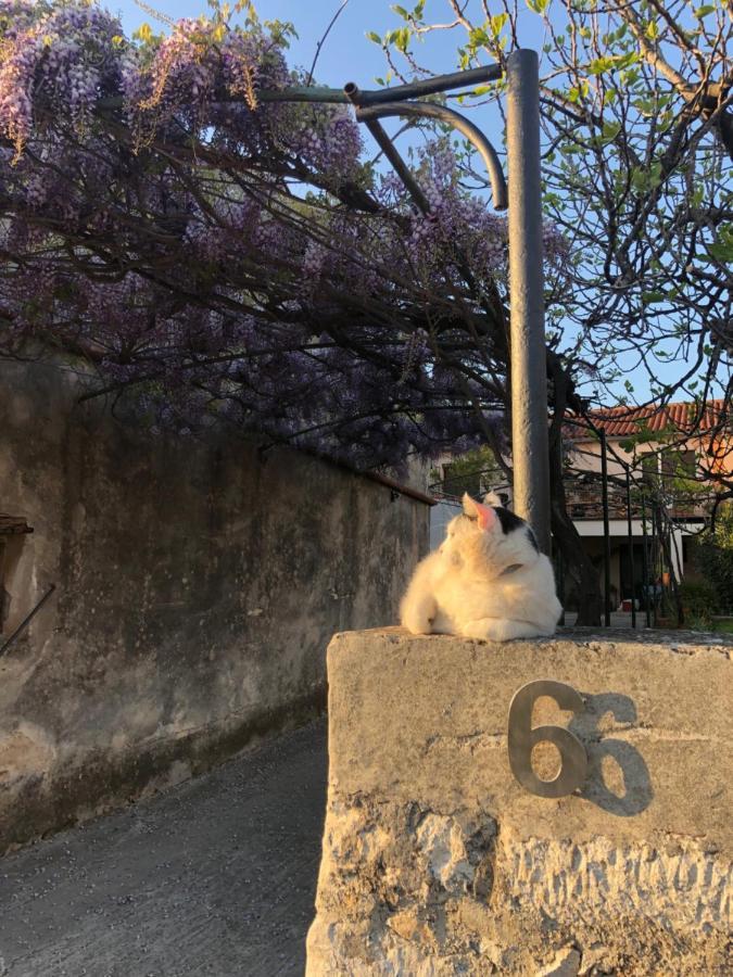 App Milija Apartment Rovinj Bagian luar foto