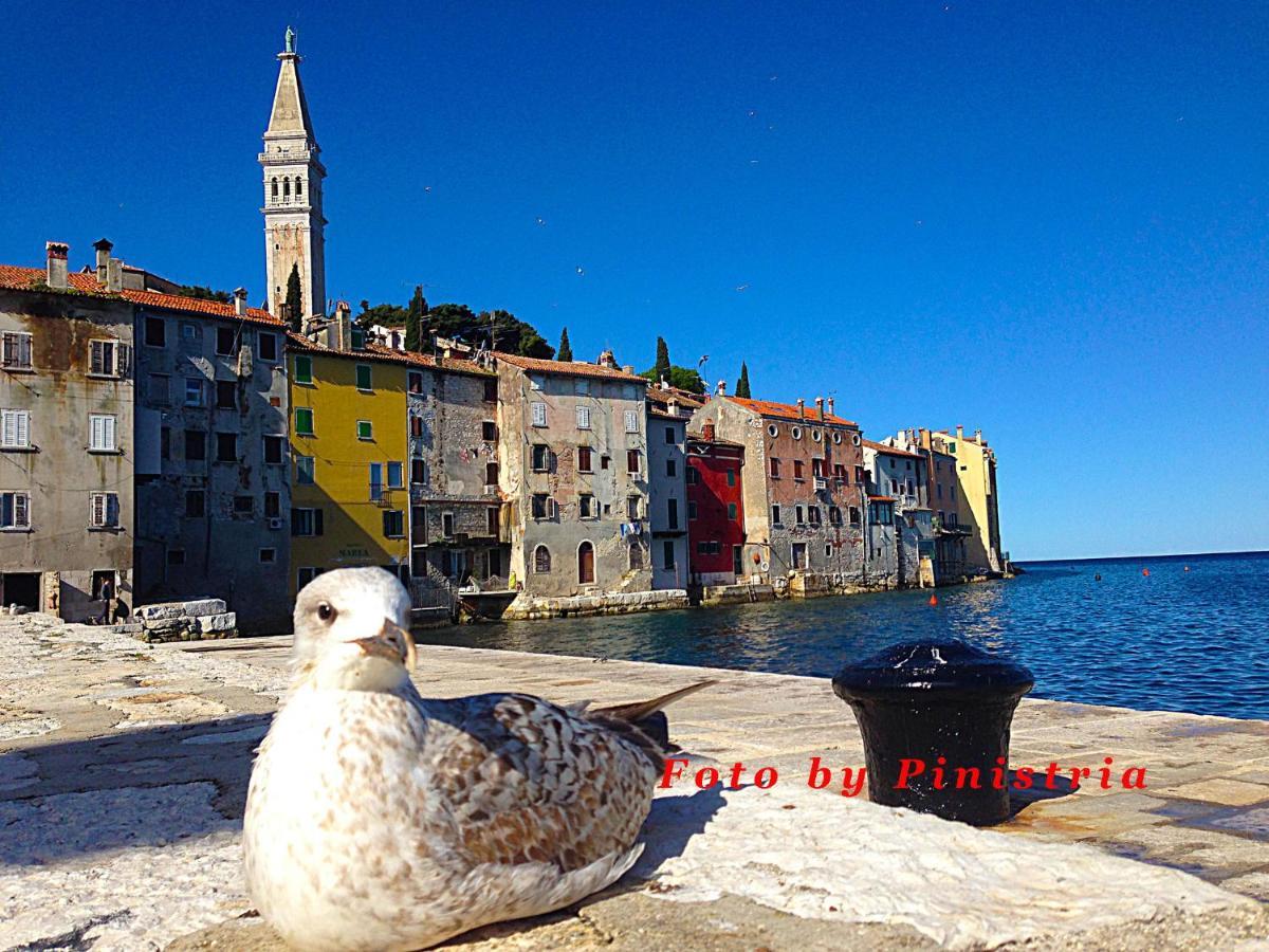 App Milija Apartment Rovinj Bagian luar foto